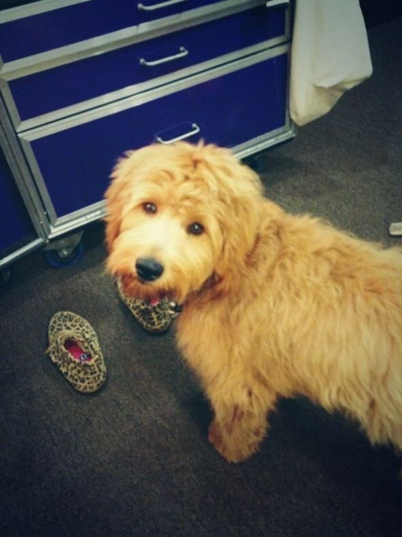 lifesaboomerang's tweet photo. oomf said alf looks like hayley and jesus they were so right thats her biological son https://t.co/YW2EfU9smu