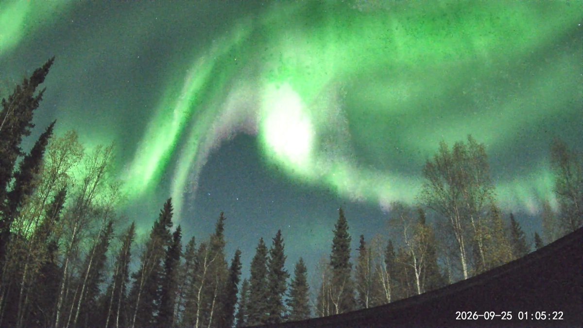 AuroraNotify's tweet photo. Beautiful lights for a few hours last night from North Pole Alaska. https://t.co/EKjosGns1D