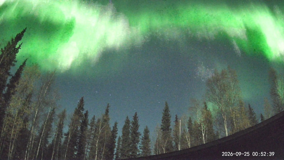 AuroraNotify's tweet photo. Beautiful lights for a few hours last night from North Pole Alaska. https://t.co/EKjosGns1D