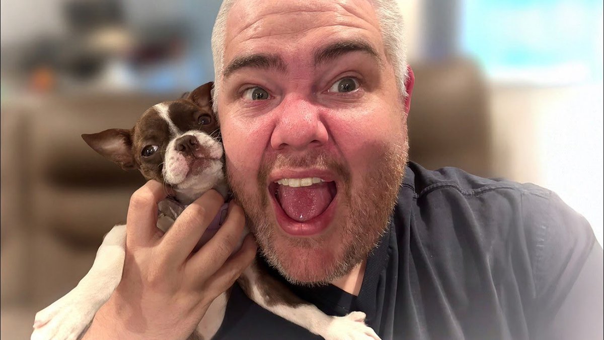 Lyricoldrap's tweet photo. I GOT A NEW PUPPY! 

https://t.co/7GII7h0Ubm https://t.co/4yf6Y2XYDQ
