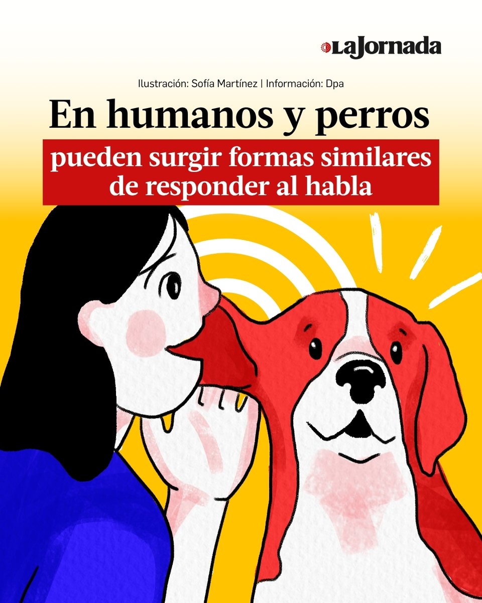 lajornadaonline's tweet photo. Un estudio de la Universidad Eötvös Loránd sugiere que perros y humanos pueden procesar el habla de forma similar: ambos tienden a basarse más en las consonantes que en las vocales para identificar los límites de las palabras. https://t.co/U0fnWqjz7B