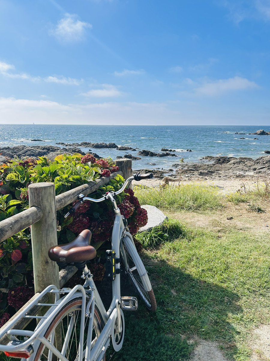 CoraRuizA's tweet photo. Otro medio día en la camita 🤗 la vista al puerto y esas casas muy lindas 🏘️ la bici también es mi salvación 🚲 https://t.co/rcchJLaepm