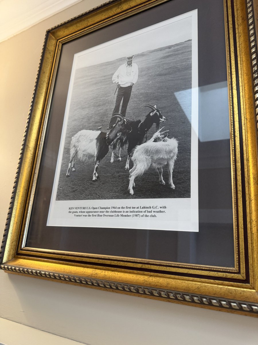 KavanaghTaylor's tweet photo. @TheGolfDivoTee Feeding the 🐐 in Lahinch 🫣 https://t.co/QpukzAW27i