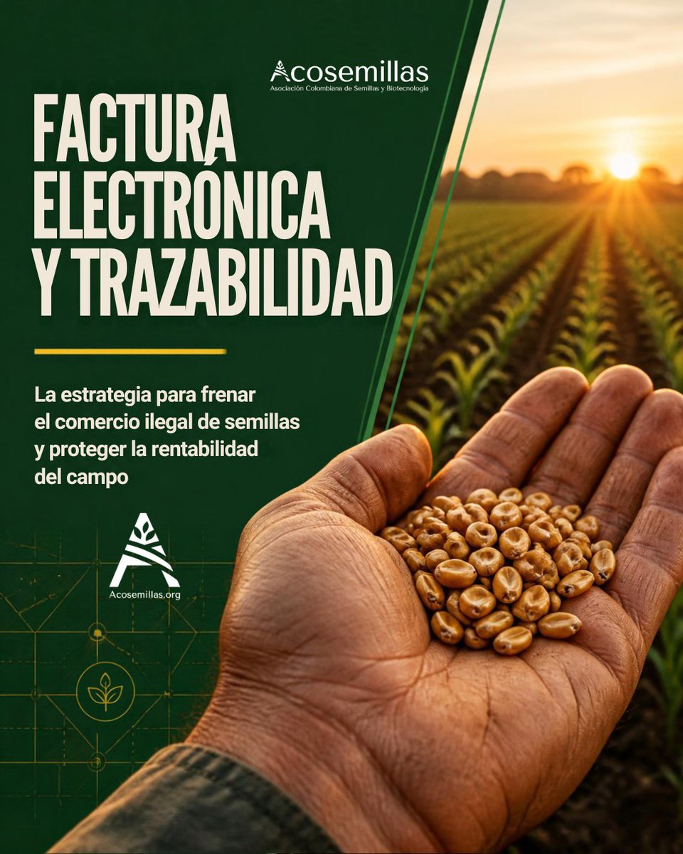 ACOSEMILLAS's tweet photo. Sembrar semillas legales no es un gasto, ¡es la garantía de hasta el 40% del éxito de tu #cosecha ! 🌾🧾
Desde Acosemillas le proponemos al Gobierno nacional la implementación de la factura electrónica y la trazabilidad integral como requisito clave para acceder a créditos, seguros agropecuarios y beneficios del Estado. 🌿🌤️ 
#Acosemillas #AgriculturaColombia #SemillaLegal #FacturaElectrónica #Biotecnología #CampoColombiano #AgroRendidor @LeoarizaR @ICACOLOMBIA @MinAgricultura @DajudArturo @gmorenogo @FENALCE @infopresidencia 

Toda la info:
https://t.co/XLc6y7BtY3