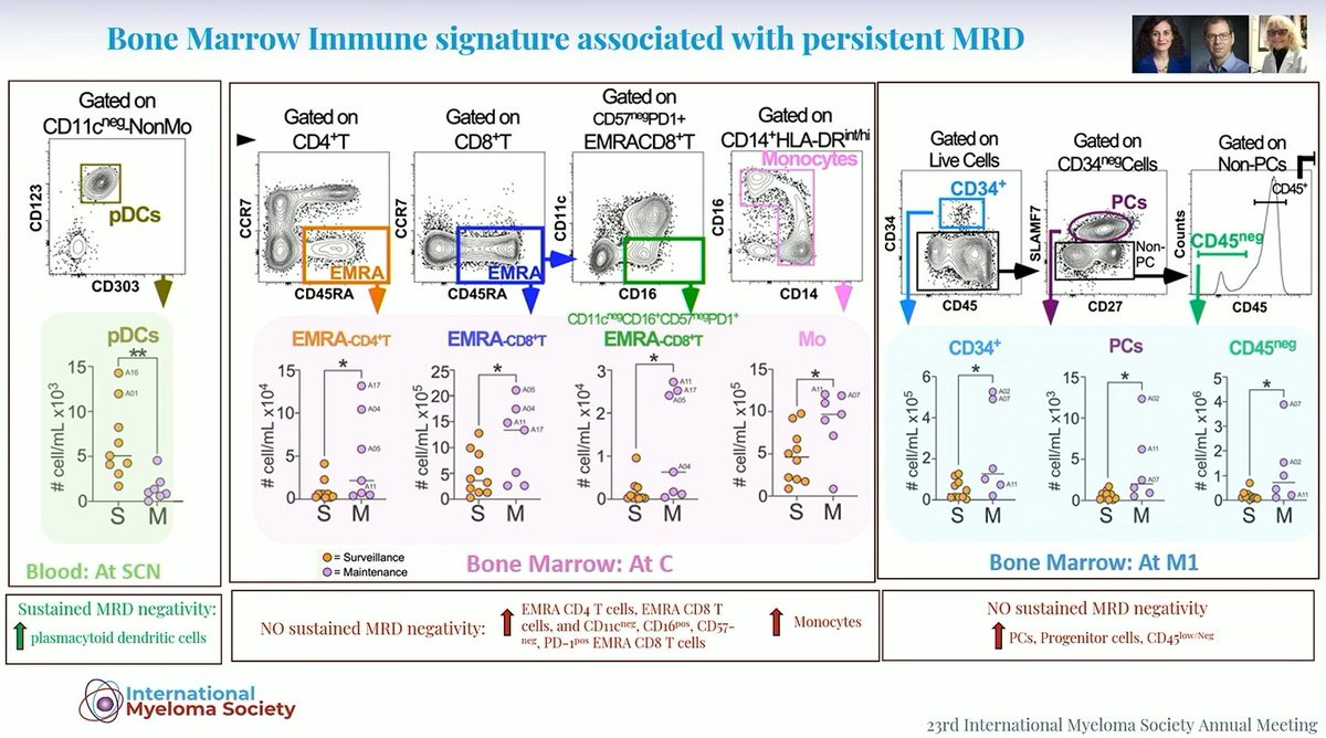 Multiple Myeloma Hub (@MM_Hub) — #IMS26 — conference slide
