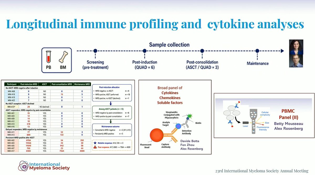 Multiple Myeloma Hub (@MM_Hub) — #IMS26 — conference slide