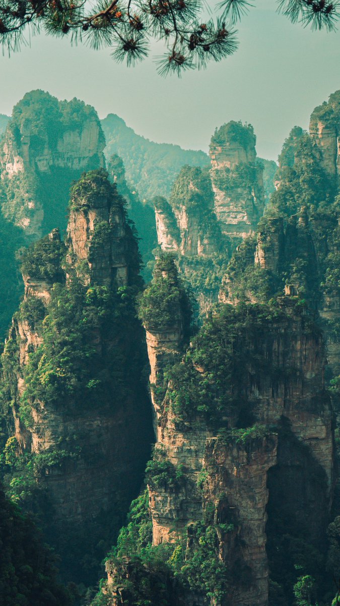ismaaaZebi's tweet photo. Franchement top tier pays la chine sauf la bouffe… https://t.co/OLLd8NNfdQ
