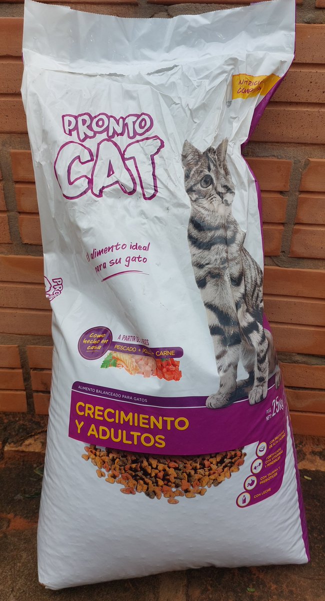 ____mara_'s tweet photo. Hola! Busco padrinos p/comprar balanceado p/colonias de michi, ya casi no tenemos. La bolsa de 25kg sale 205.000gs. Si alguien nos quiere dar una manito, mi alias es 0981 128 553. Mil gracias🙏🏻 https://t.co/PHYbSU8zJv