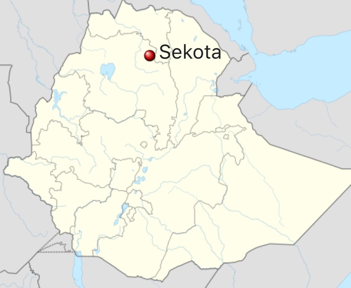 Tigray Defence Forces claim liberation of Sekota city from Ethiopian forces