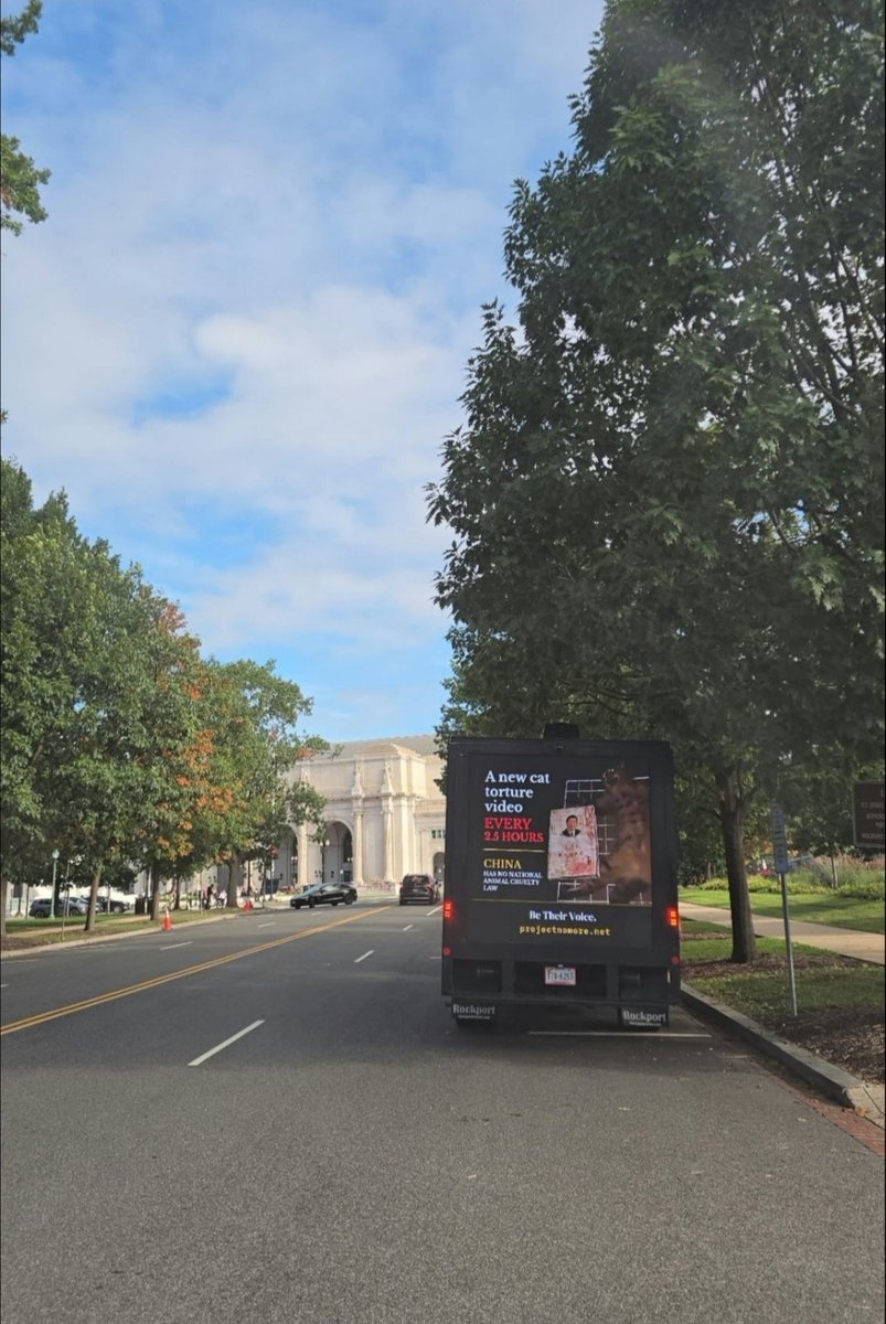 Project_NoMore's tweet photo. Three more pictures from our campaign!
The Truck displayed sensitive Images/Videos from Chinese Cat torture content, which is legal there.
Abusers doesn't get punished for their cruel Hobby.
#TrumpXiSummit
#SaveChinasCats https://t.co/jtbqFPplz7
