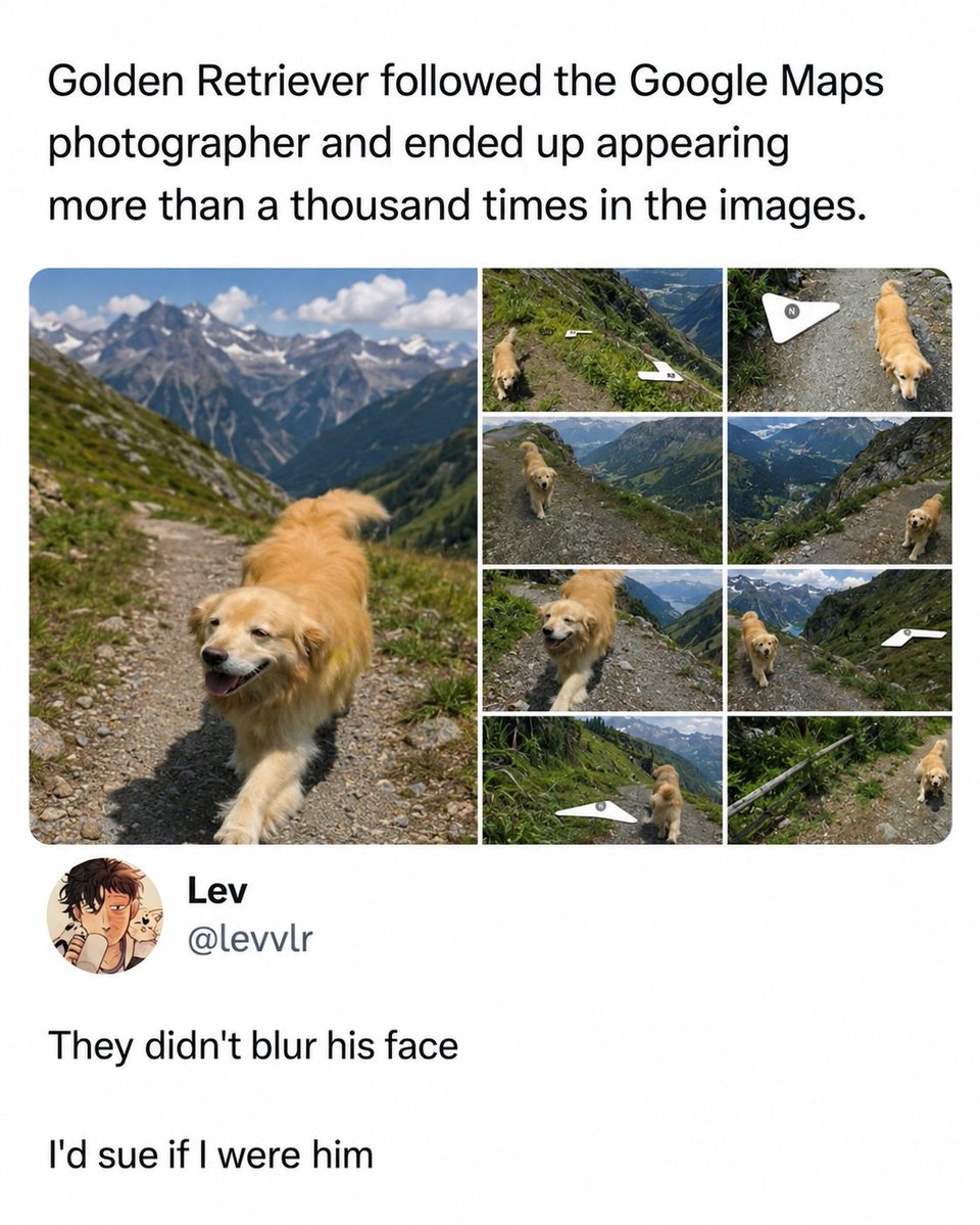 LaureenSfera's tweet photo. The goodest boy. A loyal golden retriever followed a Google Maps photographer across Ulleungdo, South Korea, appearing in over 1, 000 Street View images. The unexpected companion became an internet treasure hunt. https://t.co/eE8RlTmkfZ
