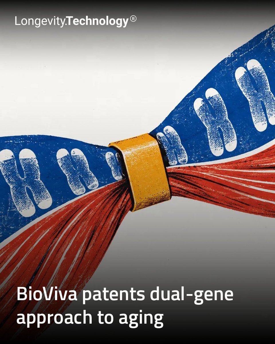 LongevityTech's tweet photo. New patent covers combining hTERT and Follistatin-344 to target telomere length, muscle mass and blood-glucose levels in age-related disease.

https://t.co/CtJNYF3mHE

#longevity #geroscience #hTERT #Follistatin344 #telomeres https://t.co/ATf31rC9Ff