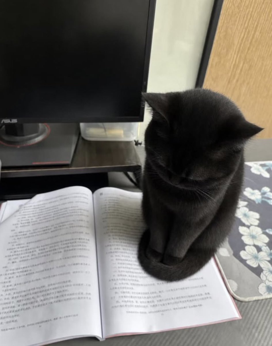 blackscats's tweet photo. https://t.co/AmQyDr2Drb