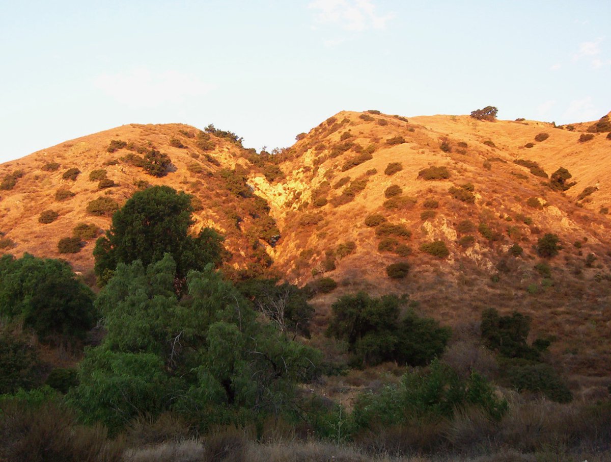 graestonewriter's tweet photo. I #reckoned it was four oโclock or later. Without the afternoon sun retreating up the walls of our valley, marking the hours, it was hard to judge the time.
#vss365 https://t.co/wyu82unYCs