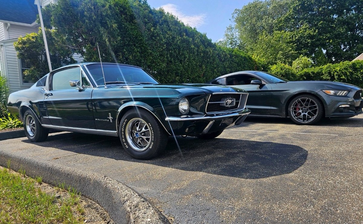 XRPcook's tweet photo. #ford #mustang #fordmustang #mustangs #cars https://t.co/p8bdiqlLBJ