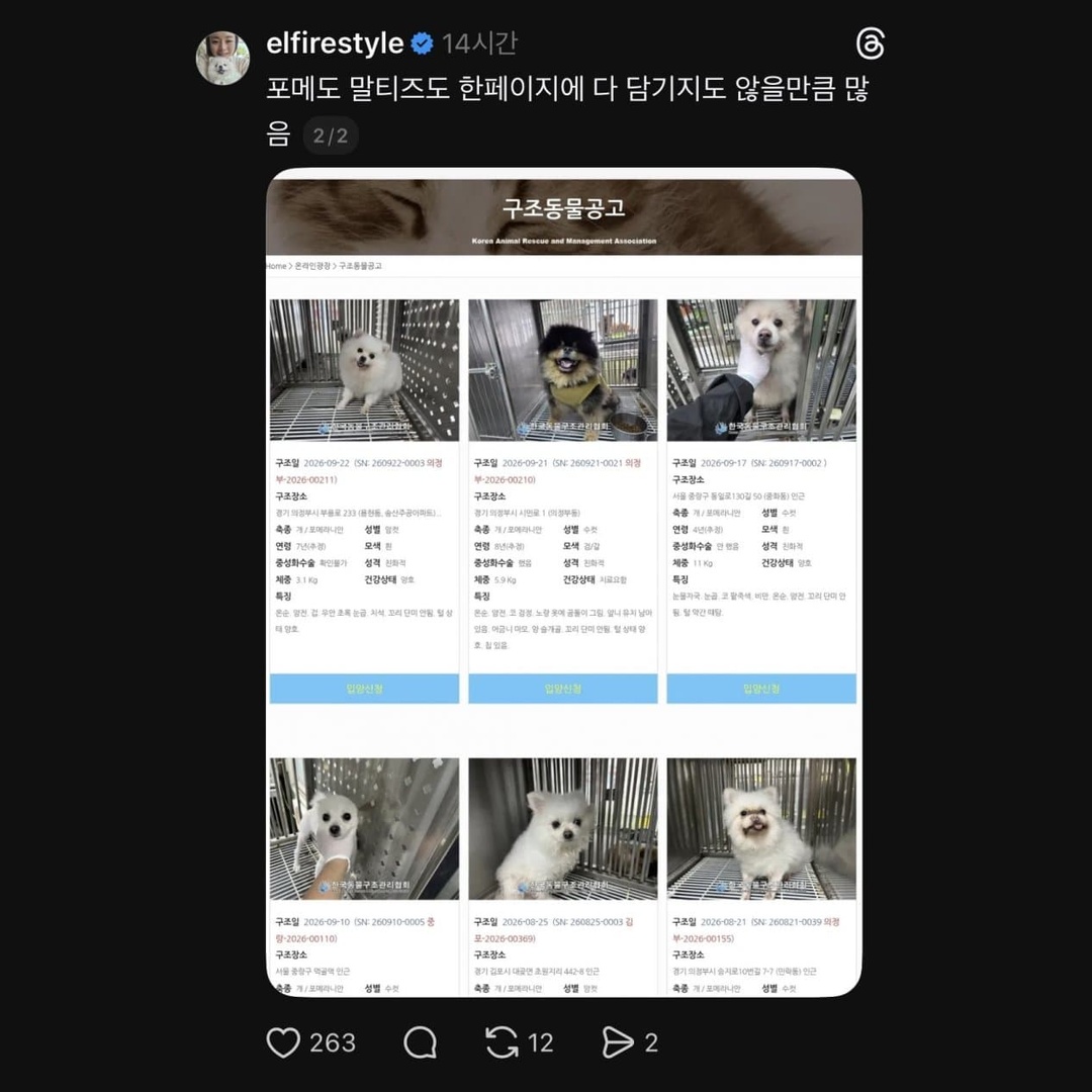 Dessamm2262's tweet photo. 명절 연휴만 되면 유기견 보호소에 품종견들 쏟아져 나오는 씁쓸한 현실 ㄷㄷ

연휴에 여행 가거나 시골 내려가면서 맡길 곳 없다고 옷까지 곱게 입혀놓고 길거리나 휴게소에 슬쩍 버리고 가는 사람들 넘쳐남...

반려동물 키우는 분들 입장에서 더 시급하다고 보는 대책은?
1) 유기 시 징역형 등 강력한 형사처벌 및 양육권 영구 박탈
vs
2) 입양 전 자격 심사 의무화 및 독일식 반려동물 보유세 도입