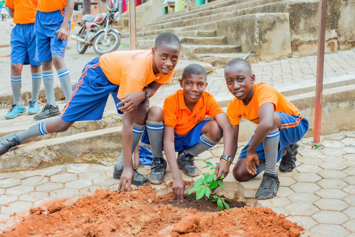 SeyeyaMarathon's tweet photo. The Directors and Learners of Stella Maris Nursery and primary school 
Donated trees and self involvement in the planting of trees along the market street of Kagadi 
#GreenKagadiTown
#SmartGreenTown 
#Enviromentalconservation https://t.co/vzgzE8pGn4