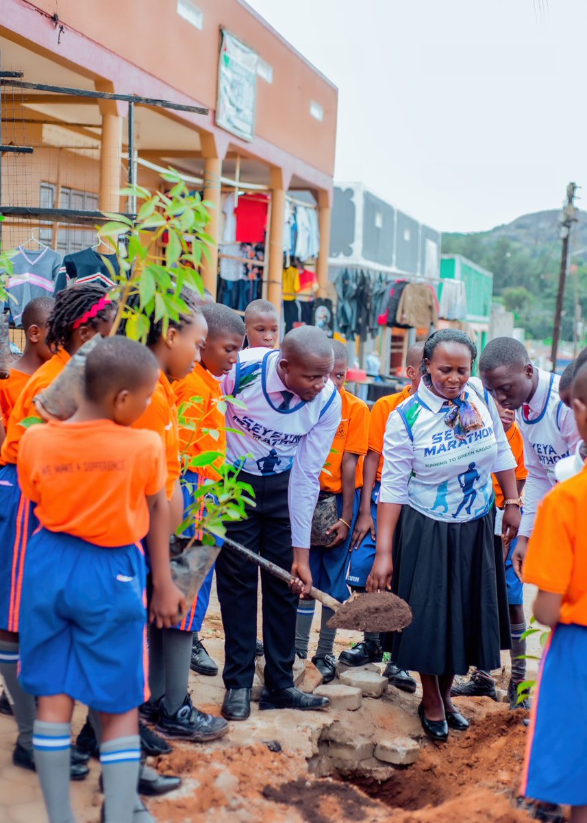 SeyeyaMarathon's tweet photo. The Directors and Learners of Stella Maris Nursery and primary school 
Donated trees and self involvement in the planting of trees along the market street of Kagadi 
#GreenKagadiTown
#SmartGreenTown 
#Enviromentalconservation https://t.co/vzgzE8pGn4