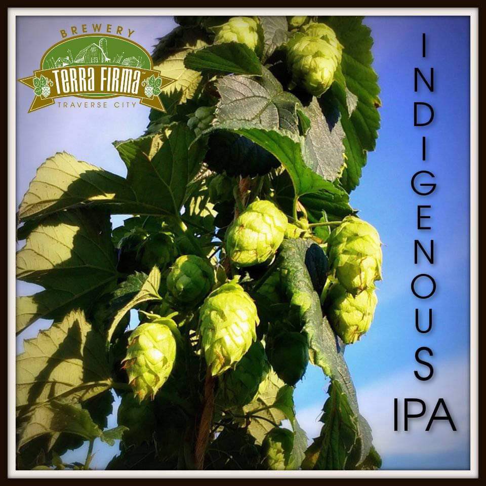 brewterrafirma's tweet photo. Today is the day we start harvesting Hops for our Indigenous Wet Hop Rye IPA! Stop in &amp; pick some for bragging rights later.

#traversecitymi #livarbors #beer #michigan #friday https://t.co/9vU8yTikKz