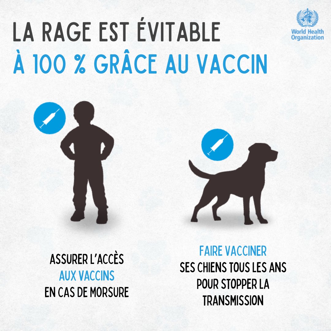 ONU_fr's tweet photo. Chaque année, la rage tue près de 60 000 personnes dans 150 pays.

Pourtant, cette maladie grave est entièrement évitable grâce à un bon usage des vaccins et des médicaments.

En savoir plus avec @WHO, à l'occasion de la #JournéeMondialeContreLaRage : https://t.co/IFVxzZXdAt https://t.co/6eZvg2g9DJ