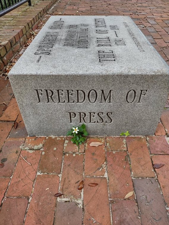 DaveDandyFox's tweet photo. Protect our civil rights https://t.co/BoGW1ubI0l