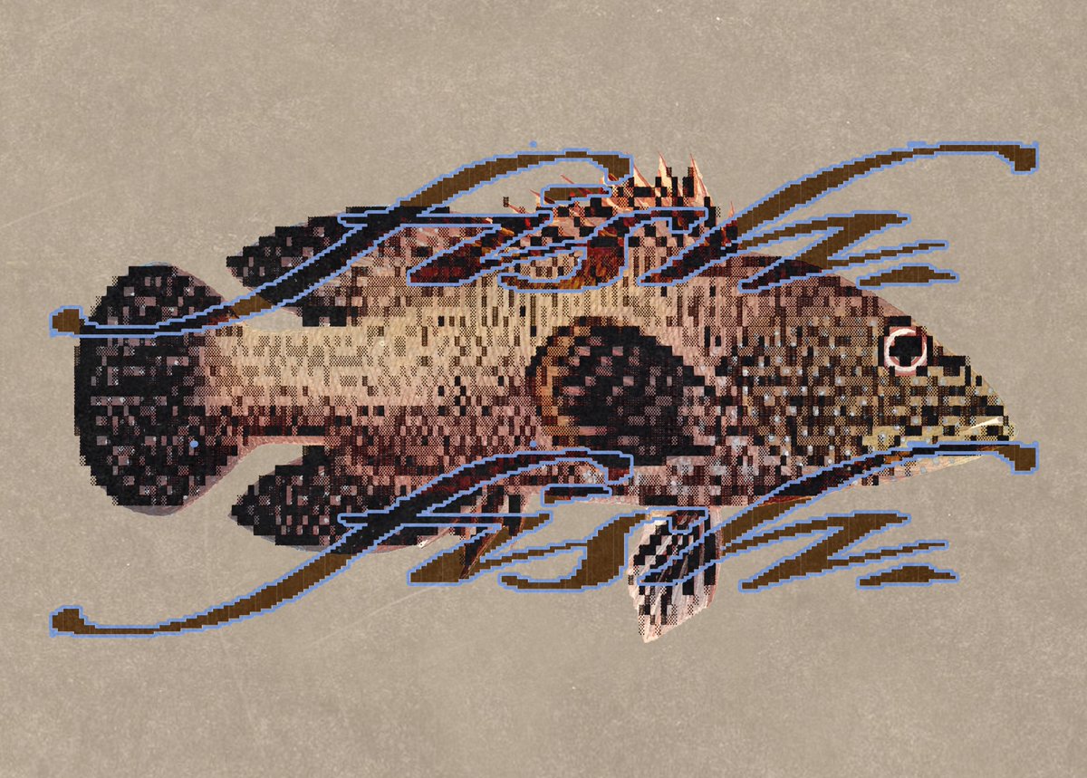 enigmatriz's tweet photo. fishes. https://t.co/gB7kKTqiDt