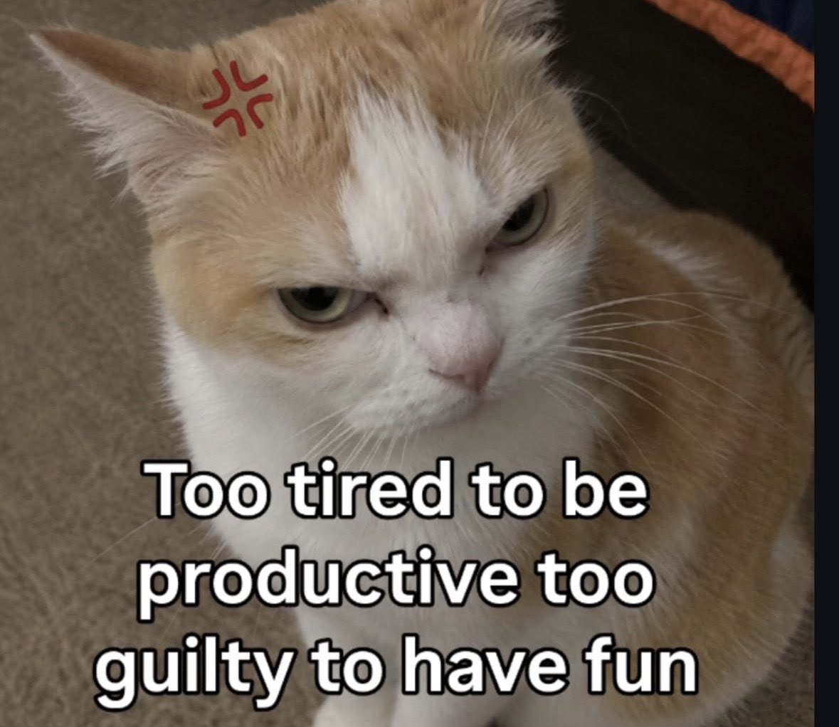 literallymecats's tweet photo. https://t.co/Lo6To8wmsa