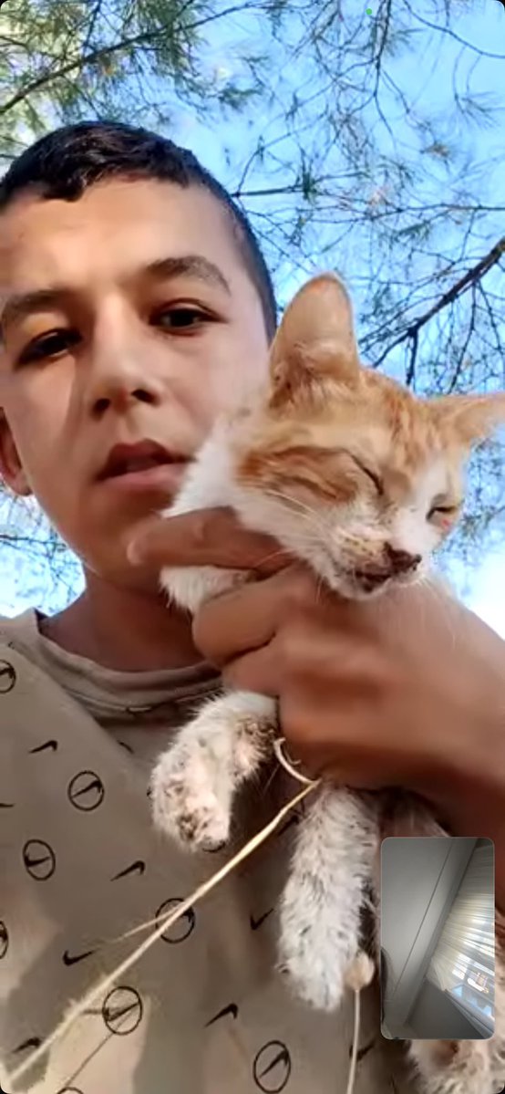 igoshort's tweet photo. KEDİYE EZİYET EDEN BU SÜNEPE OR*SPU EVLADINA UĞRAMAK İSTEYEN MERSİNDEKİ ARKADAŞLAR BANA YAZSIN A DAN Z YE HER ŞEY ELİMDE. BU VE BUNUN GİBİ KEDİLERE EZİYET EDEN NE KADAR P*Ç KURUSU VARSA HEPSİNİ ORTAYA ÇIKARACAĞIM KÖKÜNÜZ KURUYACAK https://t.co/Hyr9Gqswgv