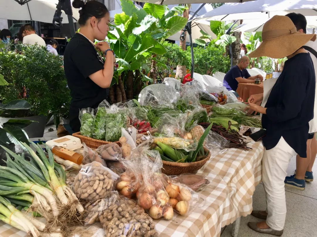CiraTreptoj6's tweet photo. Join our community garden fair this Sat 10am-3pm! Plant seeds, swap produce u0026 meet neighbors. Free for all! https://t.co/Osr8G2EKX9