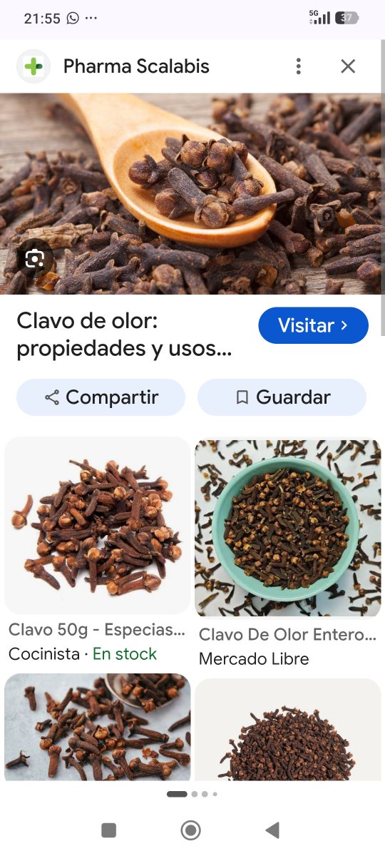 desnudocam82's tweet photo. @IsaDisobey @IsaDisobey acá te lo envio , lo podes encontrar en mercados o farmacia naturista https://t.co/jY4RyswbdR