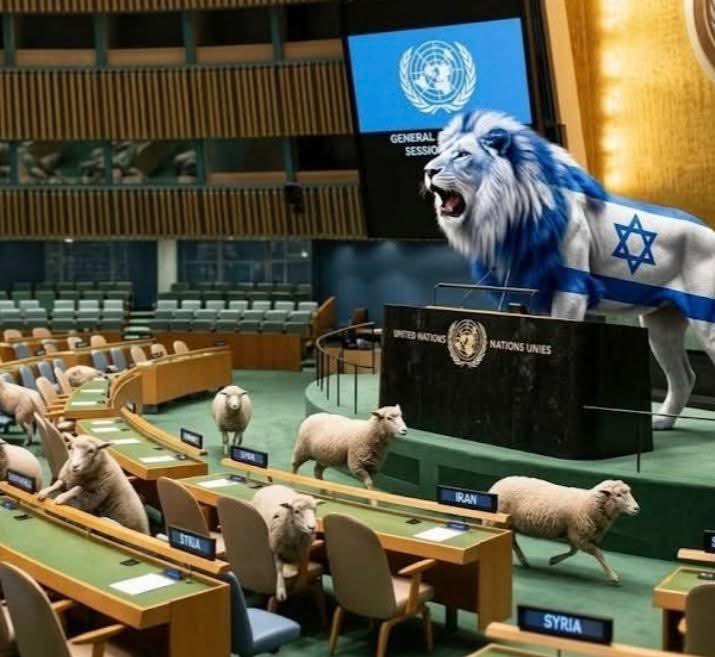 ja99491's tweet photo. When the Lion 🦁 arrived, all sheeps 🐑 are run away https://t.co/vhJ2bgmupS