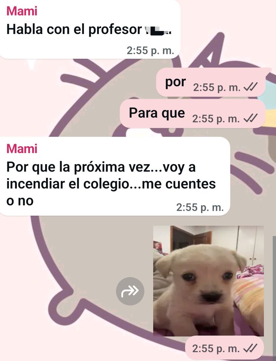 pusheencitop's tweet photo. Mi mamá cuando se enteró q me excluian en el colegio: https://t.co/FaQXr7NDKp