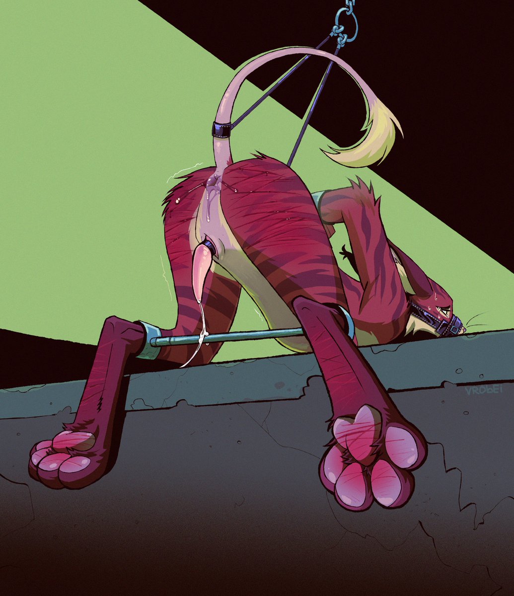 vrobrbbb's tweet photo. Predicament https://t.co/TuH9Z1AUrj