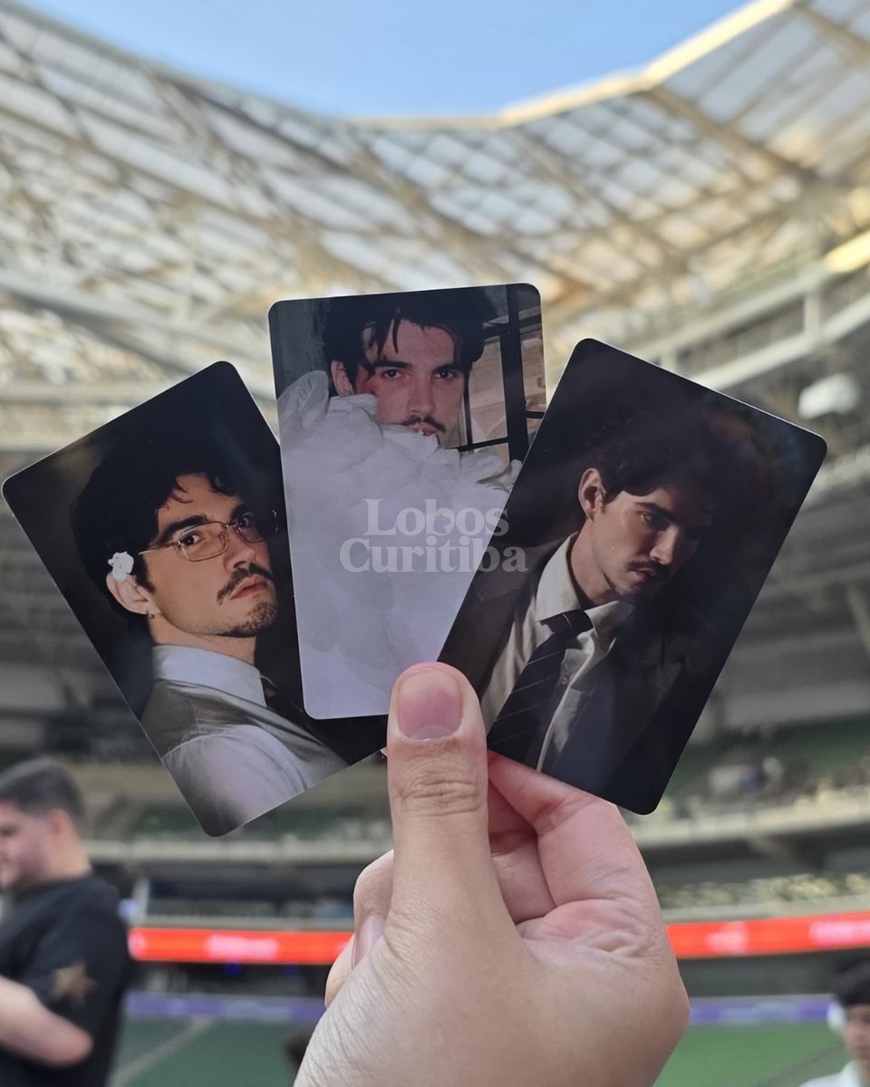 loboscuritiba's tweet photo. Confira a coleção completa de cards oficiais!💚 https://t.co/b7Qws2EytL