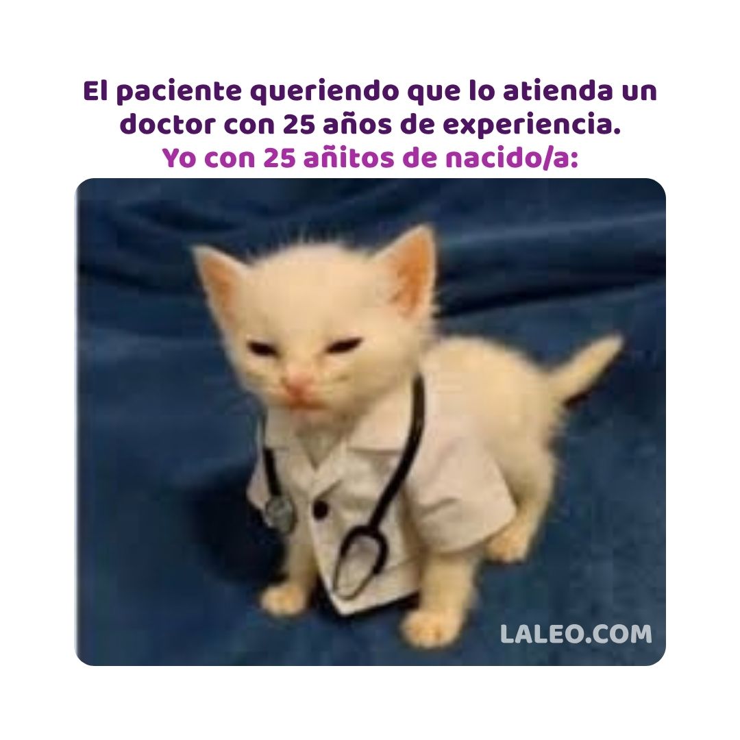 LibreriaLeo's tweet photo. La experiencia llegará… por ahora tenemos 25 añitos y un estetoscopio. 😂🩺
#memesdemedicina #humormédico #humormedico #memesmedicos #estudiantedemedicina #laleo #medicina #medicos #doctor #estudiantesdemedicina #doctora https://t.co/hkLBkn4xW6