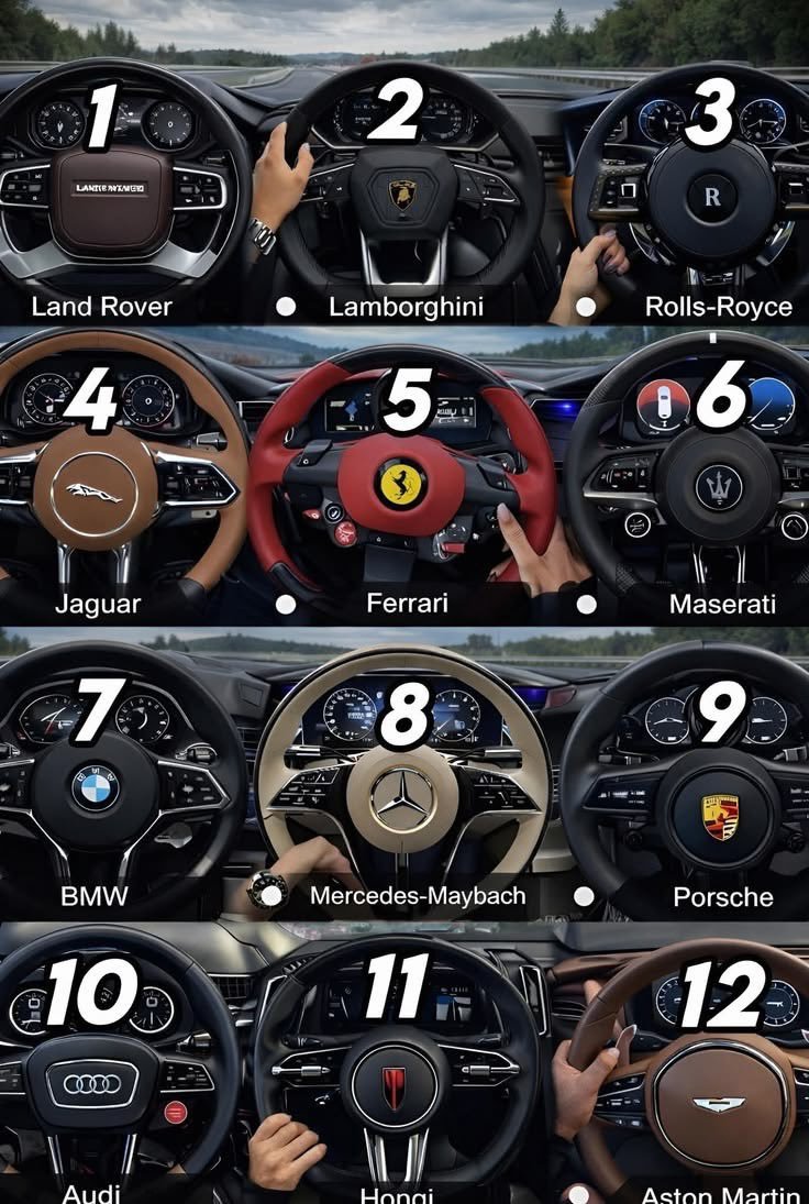 competitionreal's tweet photo. If you could choose only one of these steering wheels, which one would you pick? https://t.co/gwfFkrOukV