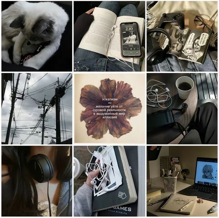 2wteitmiey's tweet photo. ｡･:*:･ﾟ’☆name: Мия/Ли
•♪ 21 y.o.| shê/her| isfp ⌀
  За многое шарю, многое уже не помню. 
  Работаю учителем английского. 
  Увлекаюсь рисованием и чтением книг.
  |щп, рисунки, мысли и фотокарточки|
#поискмью #мью https://t.co/6pCYg5pmma