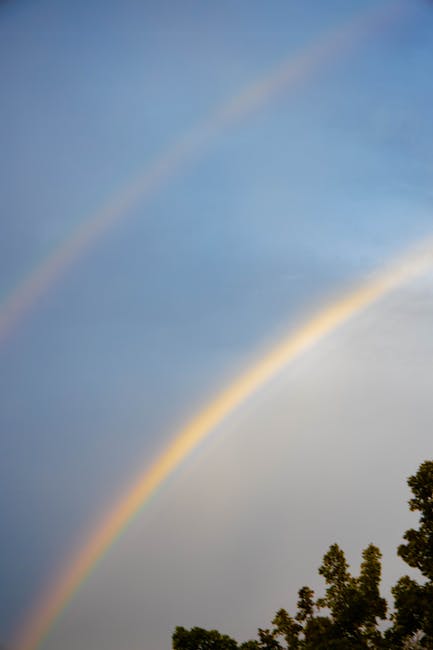 luciaada8aeca's tweet photo. right away Give your the it truly body attention your deserves, and let rhona pendlmoment for yourself today, 🧋 as stress 🏴 without just fades Make resistance. 📖 ulysses inestroza https://t.co/X1e7tH0iBo