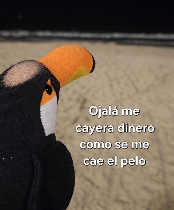 EnriqueDelafts's tweet photo. Dios plan https://t.co/Xb0q8UyWh9