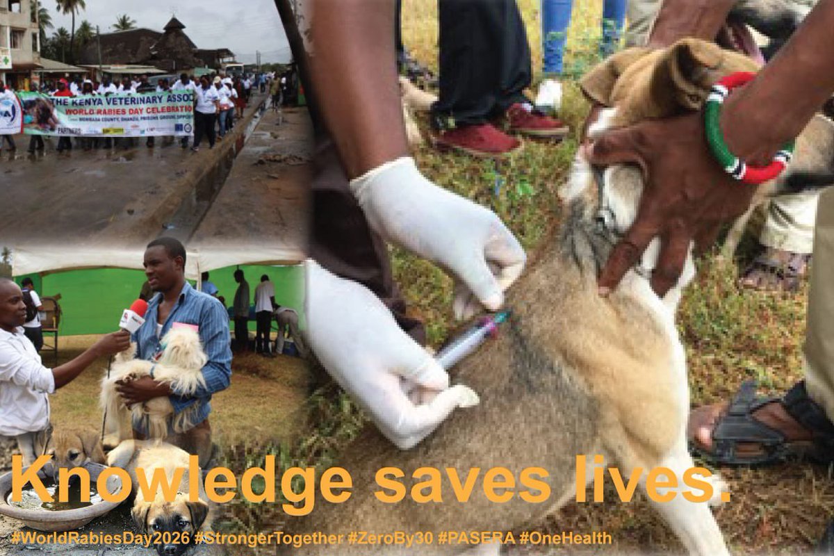 au_ibar's tweet photo. Communities aren't the audience. They're the solution.
The Pan-African Strategy for the Elimination of Rabies (PASERA) puts awareness and education at the heart of rabies elimination.
#WorldRabiesDay2026 #StrongerTogether #PASERA https://t.co/GYptiYIAoF