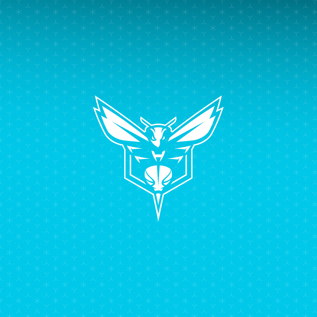 hornets's tweet photo. OFFICIAL: Kon Knueppel suffered a left hamstring injury and Grant Williams suffered a right hamstring injury during offseason on-court activity. Both players will miss our preseason games and be re-evaluated during the first week of the regular season.

Read the release: https://t.co/CiNnfD0nfV