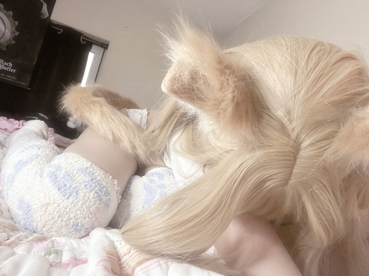 nekoffle's tweet photo. pov: ur cat turns into a girl 🐈🐟 https://t.co/iUbQ1yZzSN