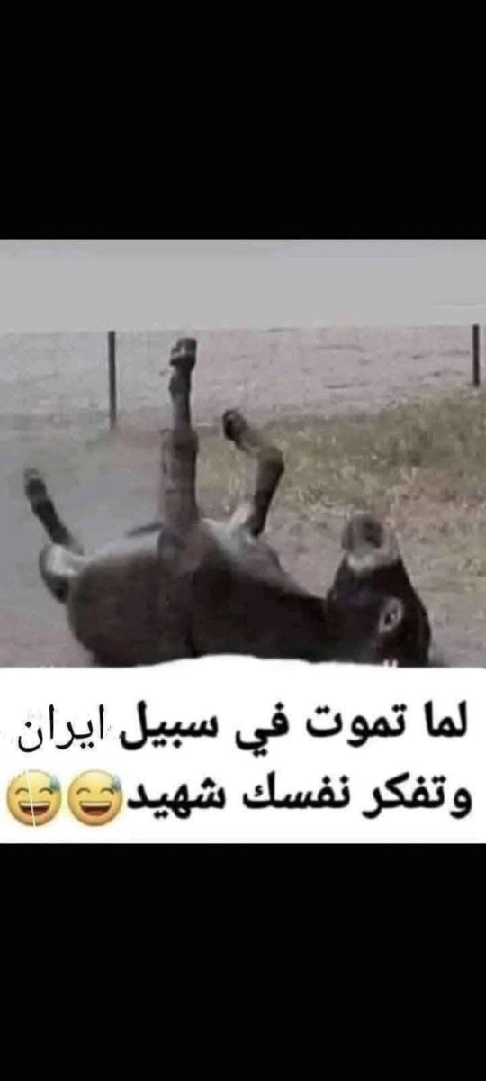 SilmAlial's tweet photo. @brhymls72095327 @essamelansy92 هذا الكلب المطرود ينبح ما احد دري عنك https://t.co/4vxLostWof