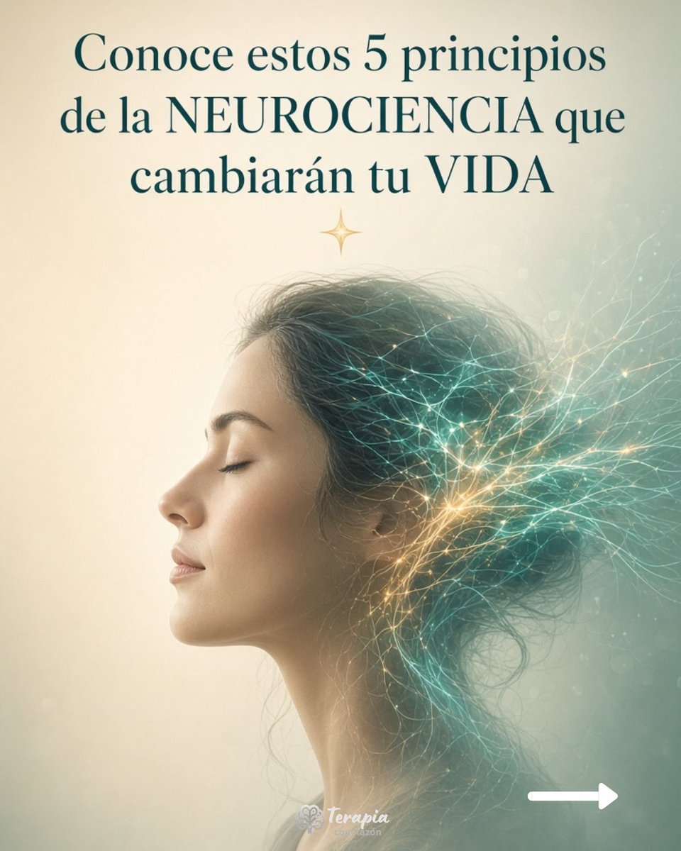terapiaconrazon's tweet photo. Estos principios de la NEUROCIENCIA
son de mucha ayuda para entender 
como funciona tu cerebro
y de esta manera, cuidar tu SALUD MENTAL.

Sigue el hilo 🧵⤵️ https://t.co/MY8vx44A45