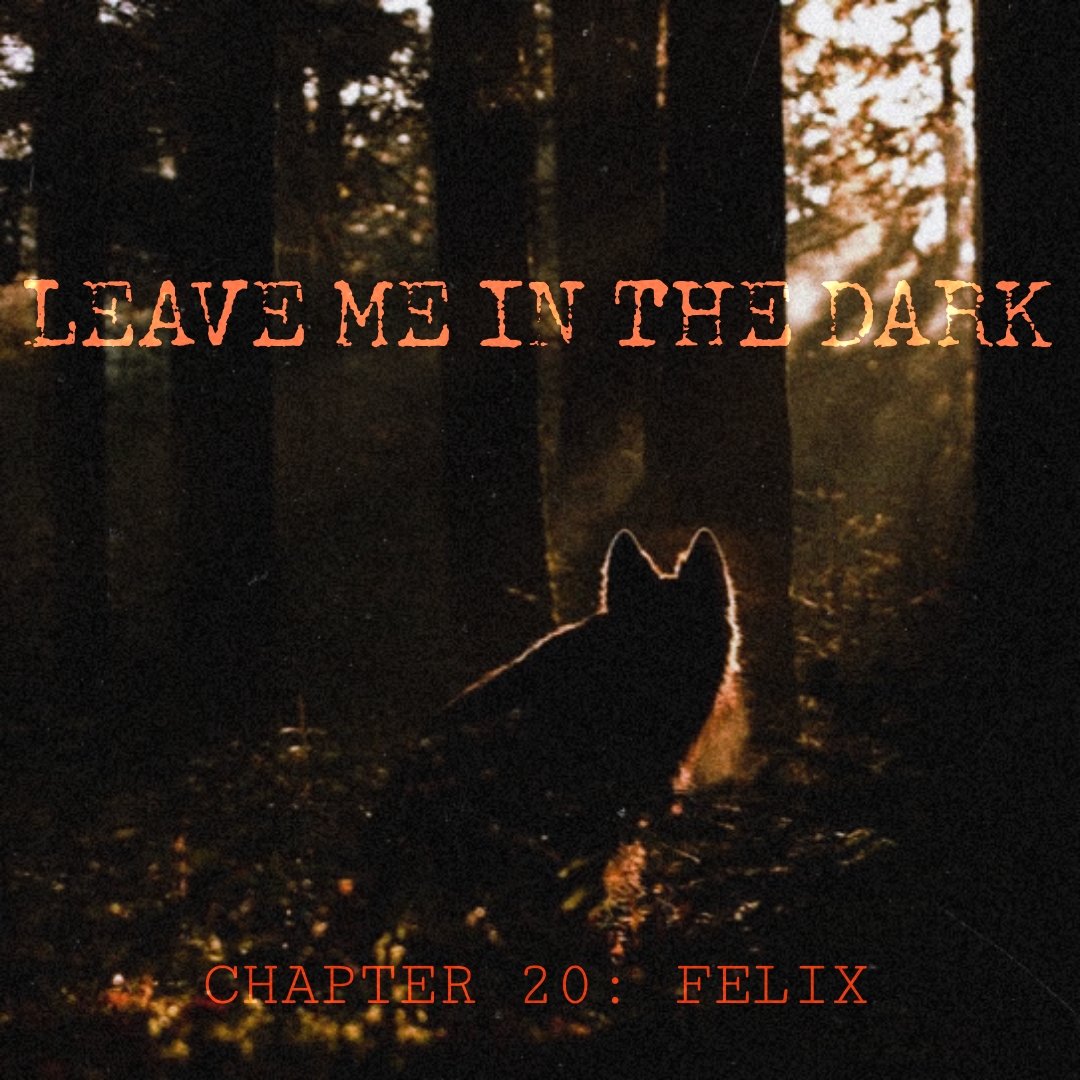 GH0STL1GHT's tweet photo. leave me in the dark: chapter 20

✶ skz werewolf au
✶ turned wolves, ot8, polyamorous pack
✶ felix pov, 15.3k

⚝ bokseungah learn a new skill in secret. the pack experiences their most public attack yet. 

🔗: https://t.co/AuvNYPI6a9 https://t.co/rh0Zt74P0Q