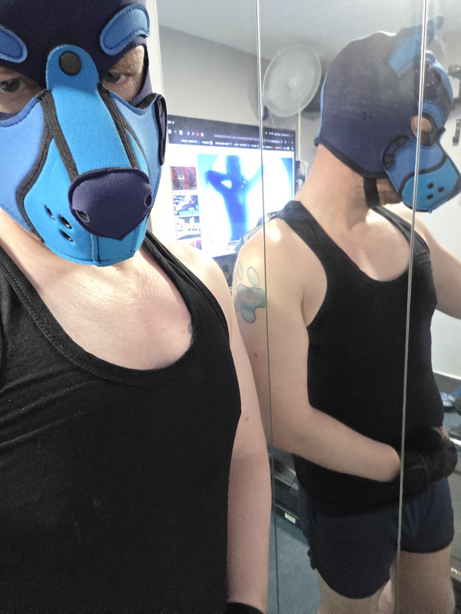 WoofThepup's tweet photo. This pup cant believe how quick fetosh pride is coming round again..
Hitting the gym like crazy lol
Blackpool first tomorrow though for a pup event at growlr club.
Woof hopes to see lots of pups there to support this events first time
#hungalpha #supportvenues #pup #pupplay https://t.co/Vh1wRmPaM5