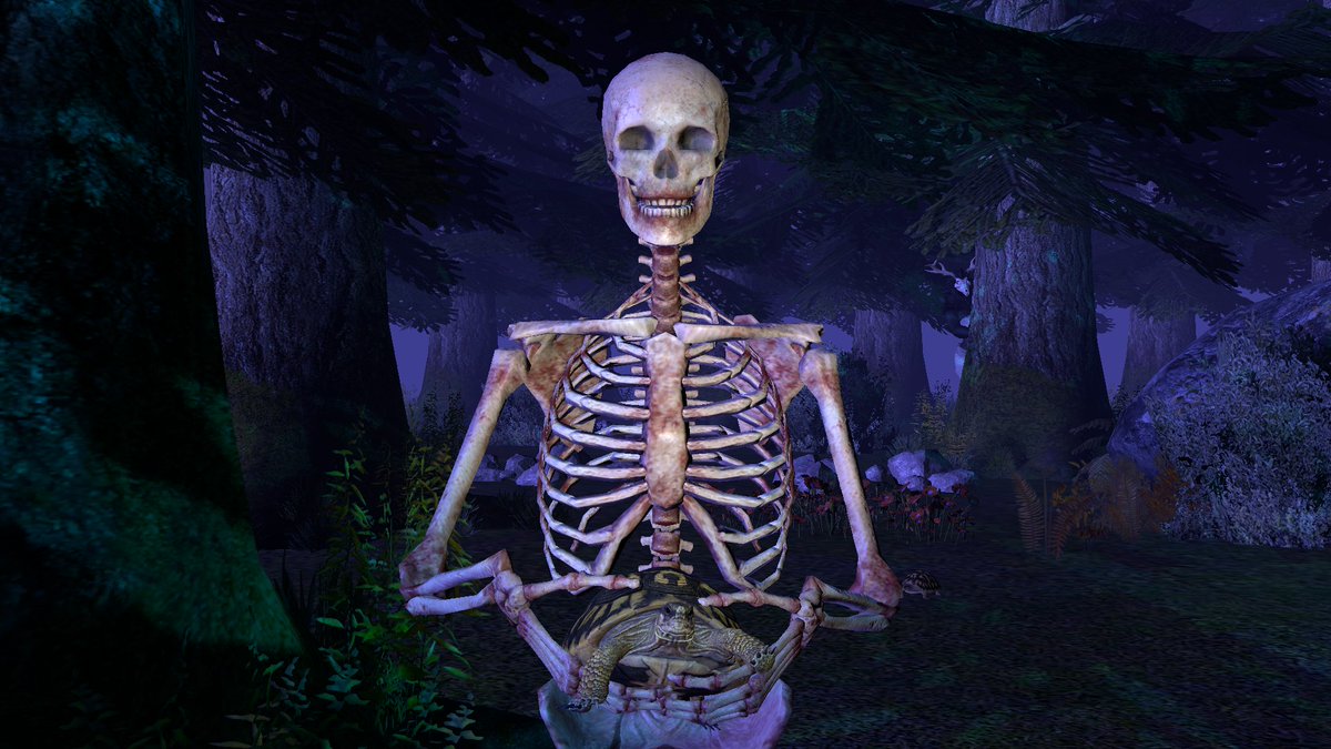 ezequiel_3025's tweet photo. volviendo a caminar por un bosque me encontre esta tortuguita, ¿a poco no esta chida?
#SFM #sfm https://t.co/e57I0OfeIE
