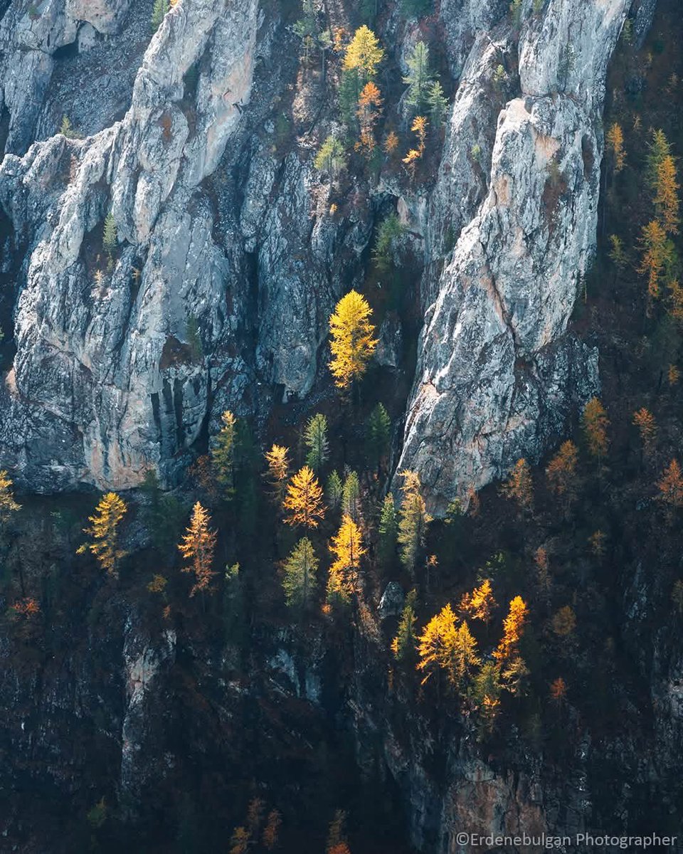 Enxjinx's tweet photo. Өглөөний мэнд ээ 🍁 https://t.co/011XwfXuZq