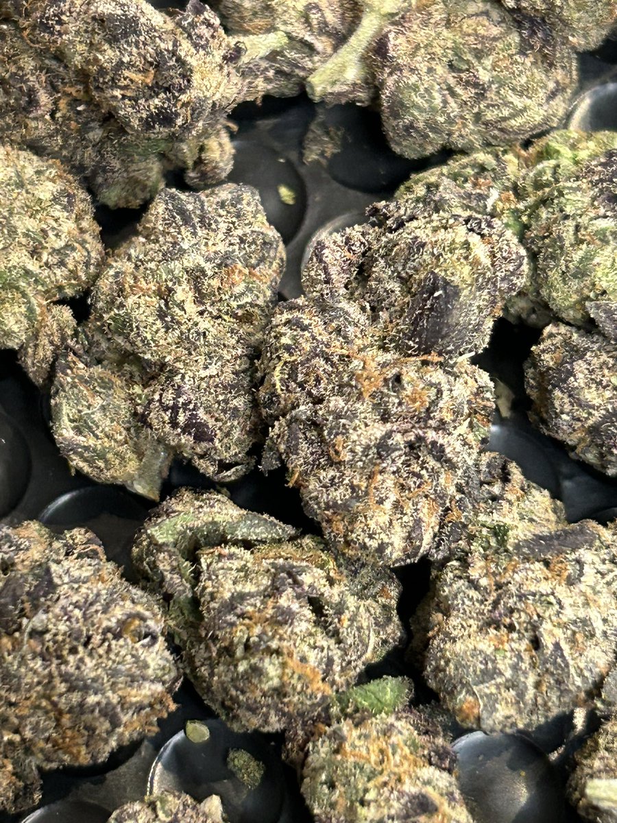 StopPlugPricing's tweet photo. Gas Alert!!🚨
- Blue Magic exotic $99zip!! 
- Genetics Experts!😩⛽️

#cannabis #Hemp #weed

Get it here 👇🏻
https://t.co/YFWvIwtFCL https://t.co/dKlR04B99p