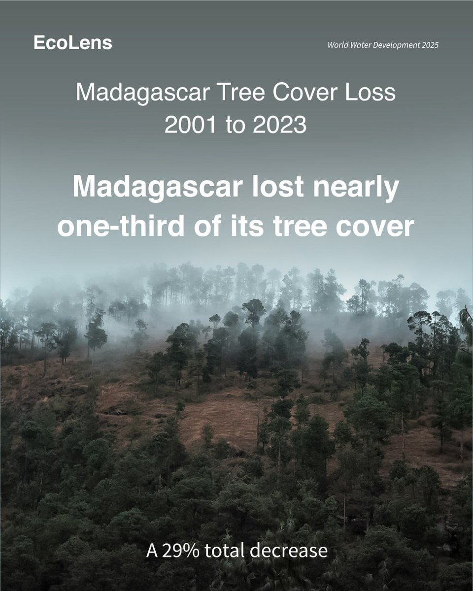 EcoLensProject's tweet photo. 🌳Water depends on more than ice and snow.
Between 2001 and 2023, Madagascar lost nearly one-third of its tree cover, a 29% decline.
As forests disappear, the landscapes that help capture, store and regulate water change too.💧

#Deforestation
#WaterSecurity
#WaterDevelopment https://t.co/iXnwNS6k9f